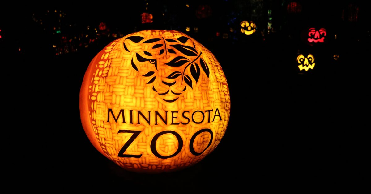 Jack-O-Lantern Spectacular | Visit Saint Paul