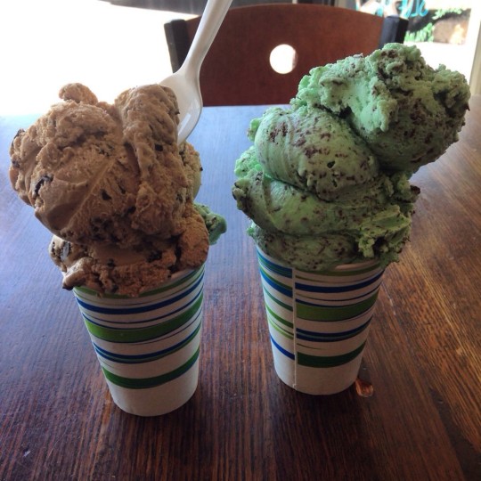 Nelson's Ice Cream Visit Saint Paul